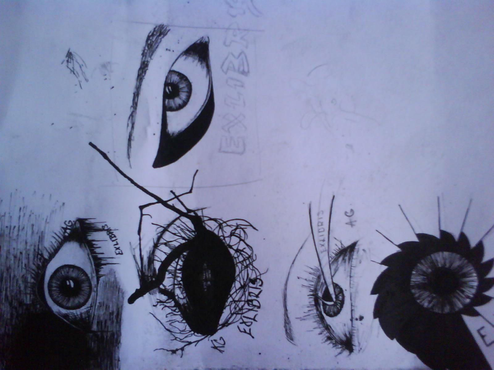 Fotografia 1796.jpg