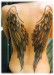 2607_angel_wings_tattoo.jpg